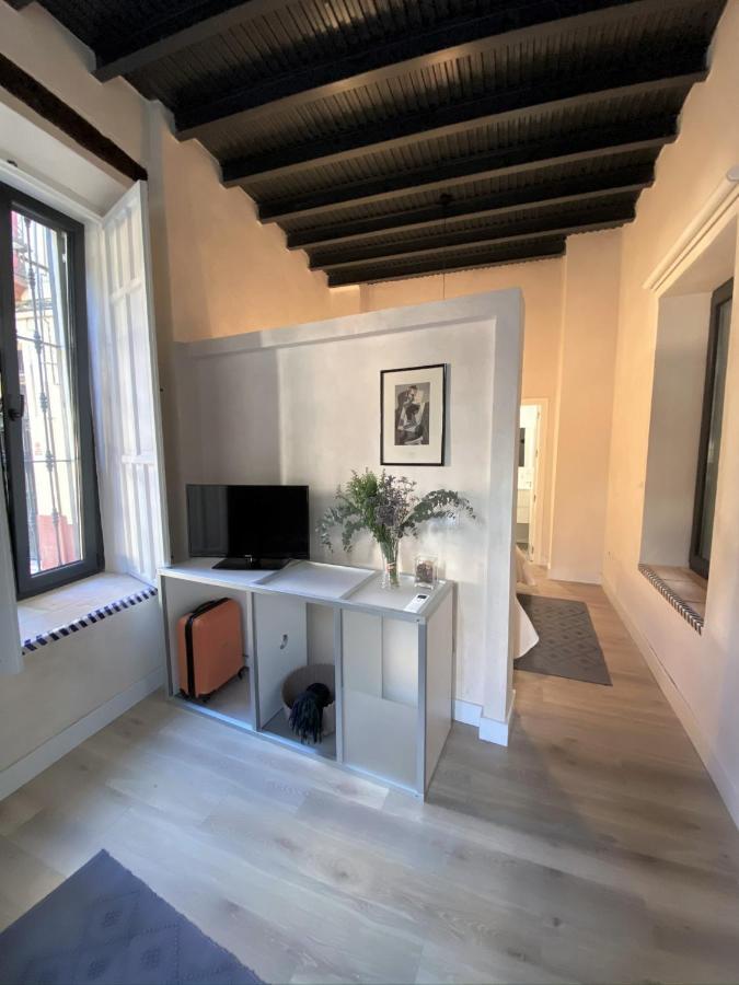 セビリアCasa Casco Historicoアパートメント エクステリア 写真